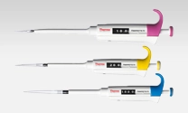 Tips - Micropipettes